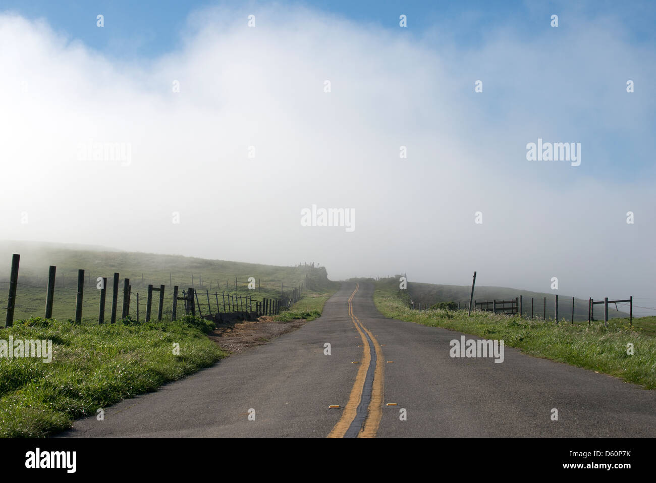 A road leads into the fog at Point Reyes National Seashore in Marin County, CA, USA. Stock Photo