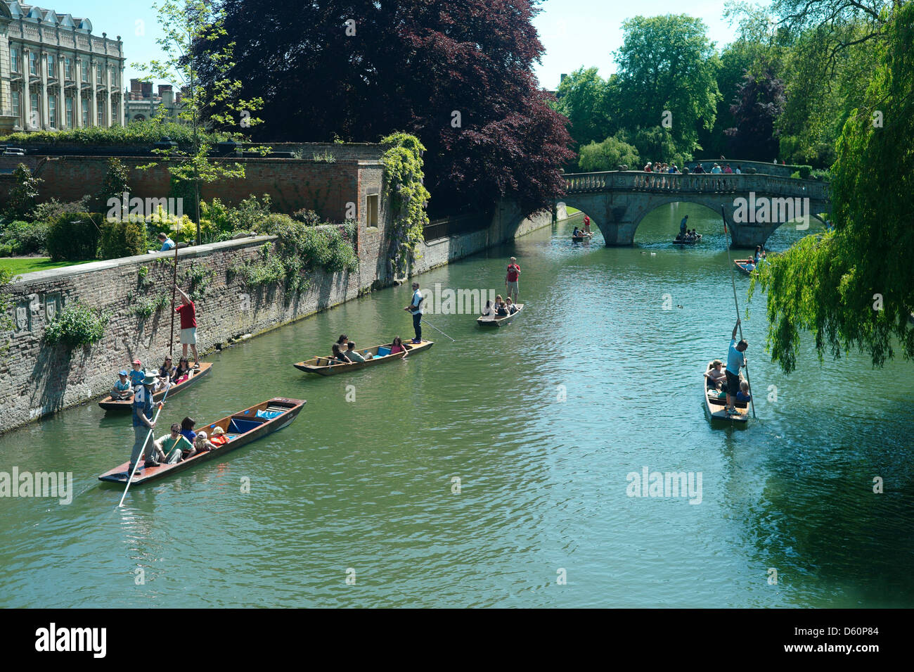 Cambridge punting, Cambridge, England,May 2010. Punting on the famous 'Backs' in the University City of Cambridge. Stock Photo