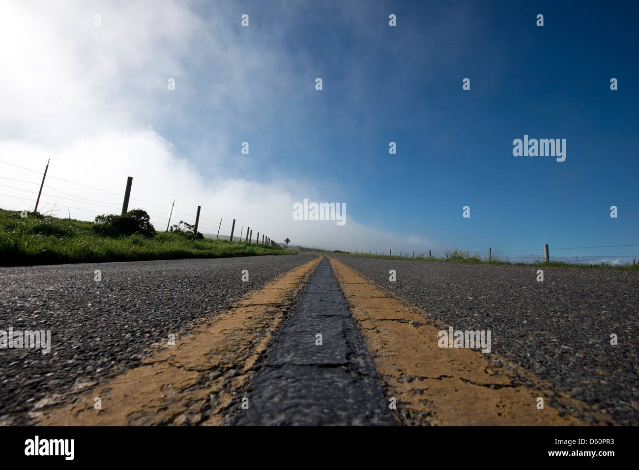 A detail of a road in the Point Reyes National Seashore in Marin County, CA. Stock Photo