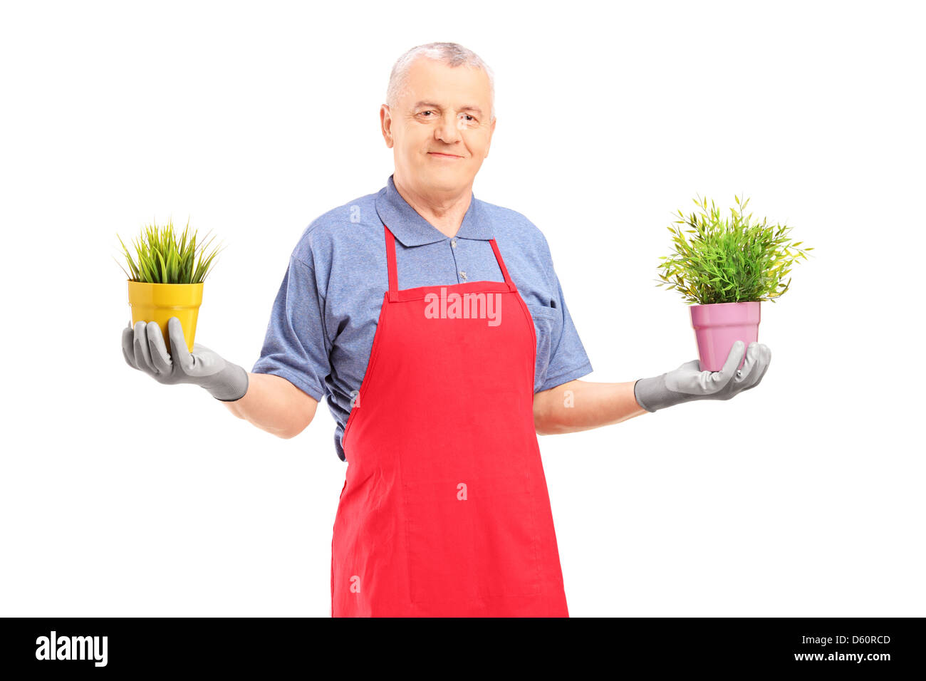 A mature male gardener with apron holding two potted plants isolated on white background Stock Photo