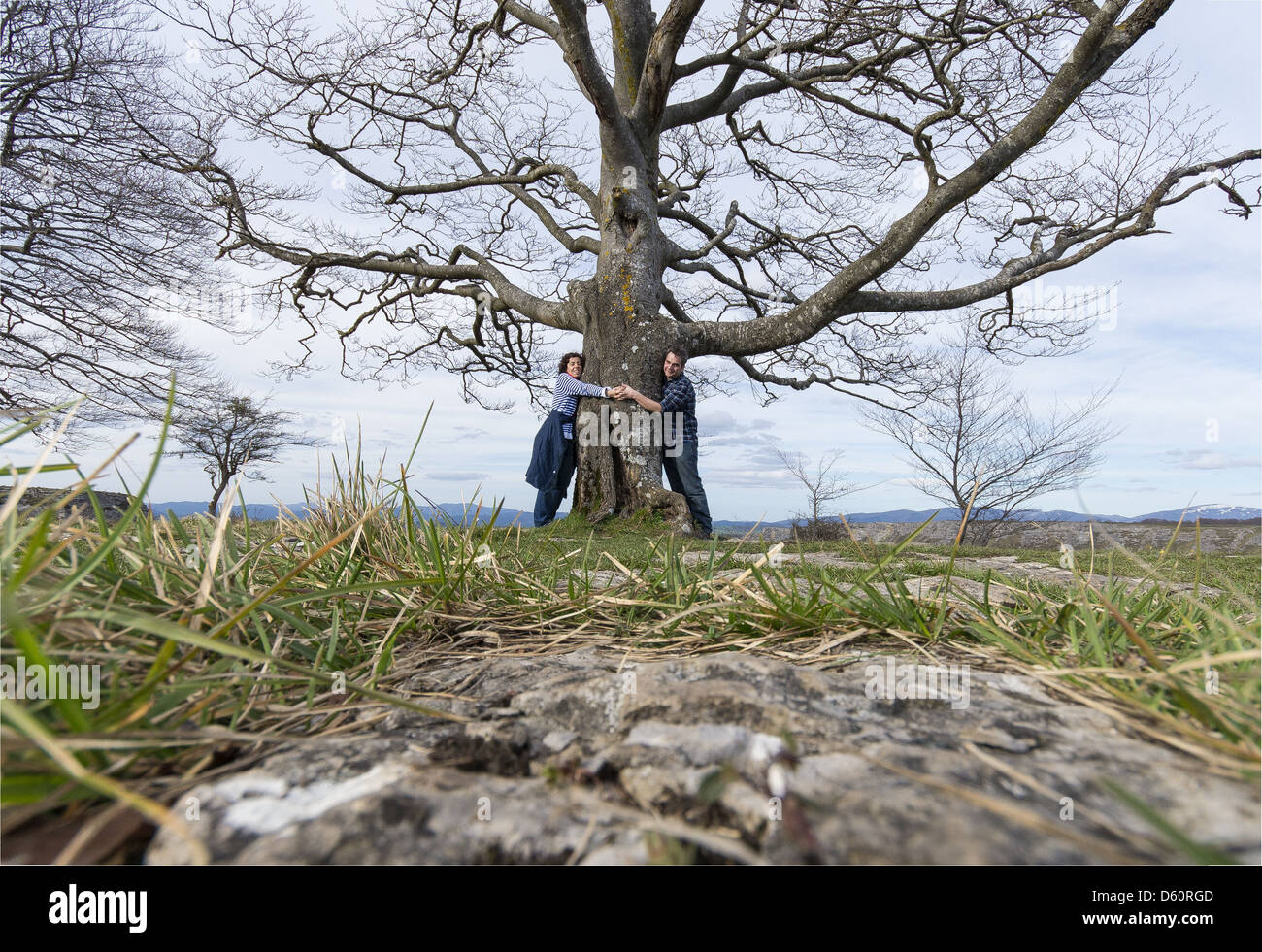 Hands hugging a tree hi-res stock photography and images - Alamy