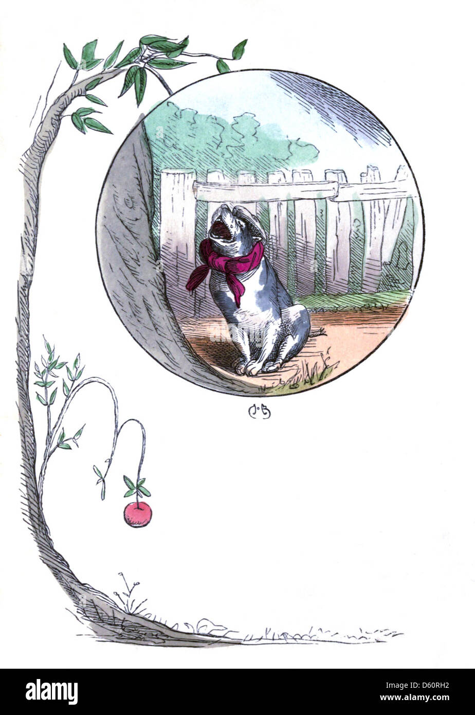 The Nine Lives Of A Cat A Tale Of Wonder 1860 Stock Photo Alamy