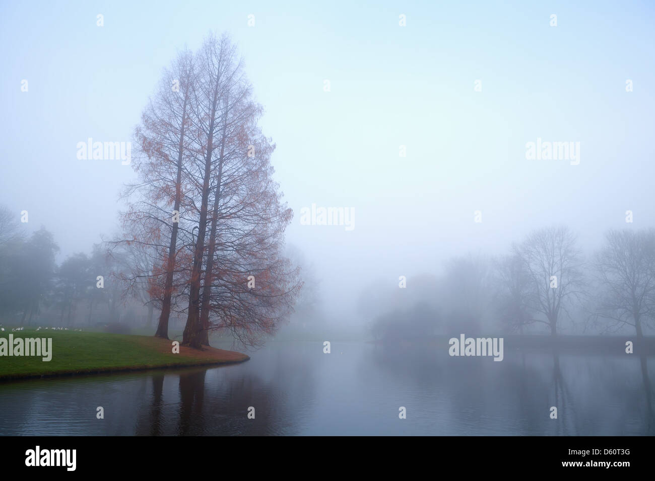 Silhouette trees in lake hi-res stock photography and images - Alamy