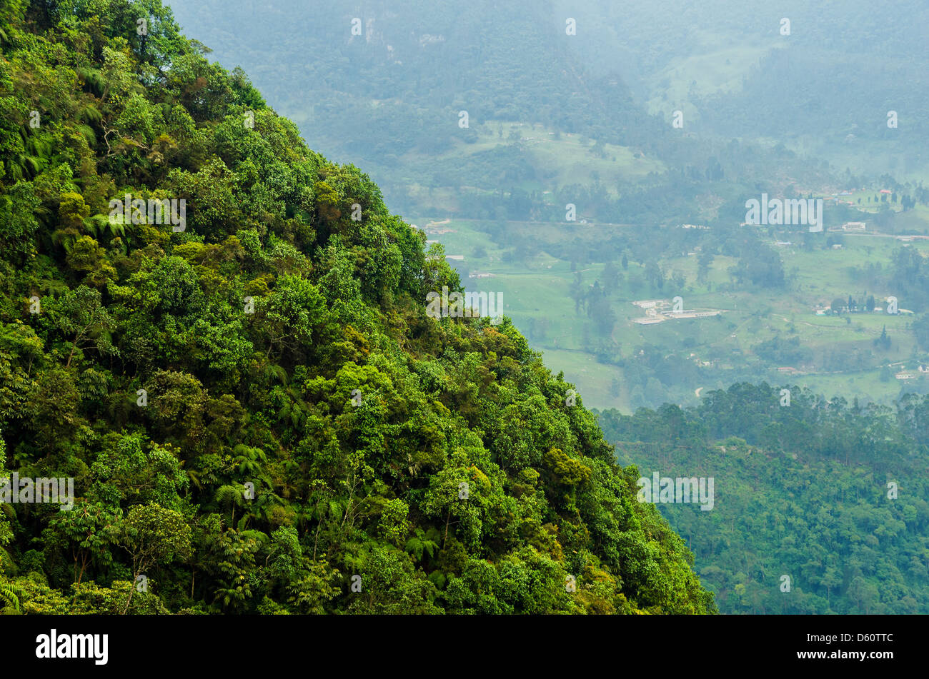 Lush green jungle covered hill with a valley in the background Stock Photo