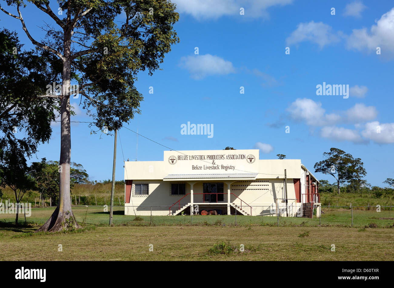 Belmopan, Belize - December 08, 2012: The Belize Livestock Producers' Association and Livestock Registry Building in Belize. Stock Photo