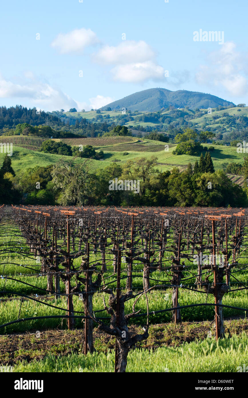 Alexander valley hires stock photography and images Alamy