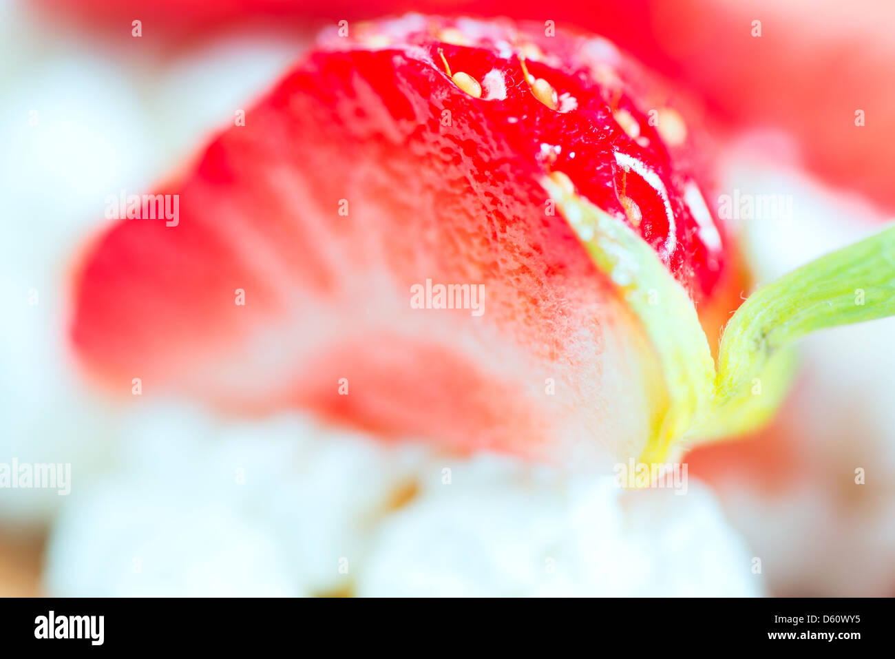 Blurred strawberry background Stock Photo - Alamy