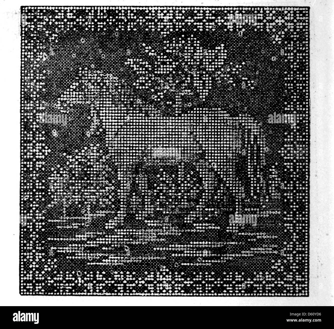 An 1880 collection showcasing detailed needlework patterns, including ...