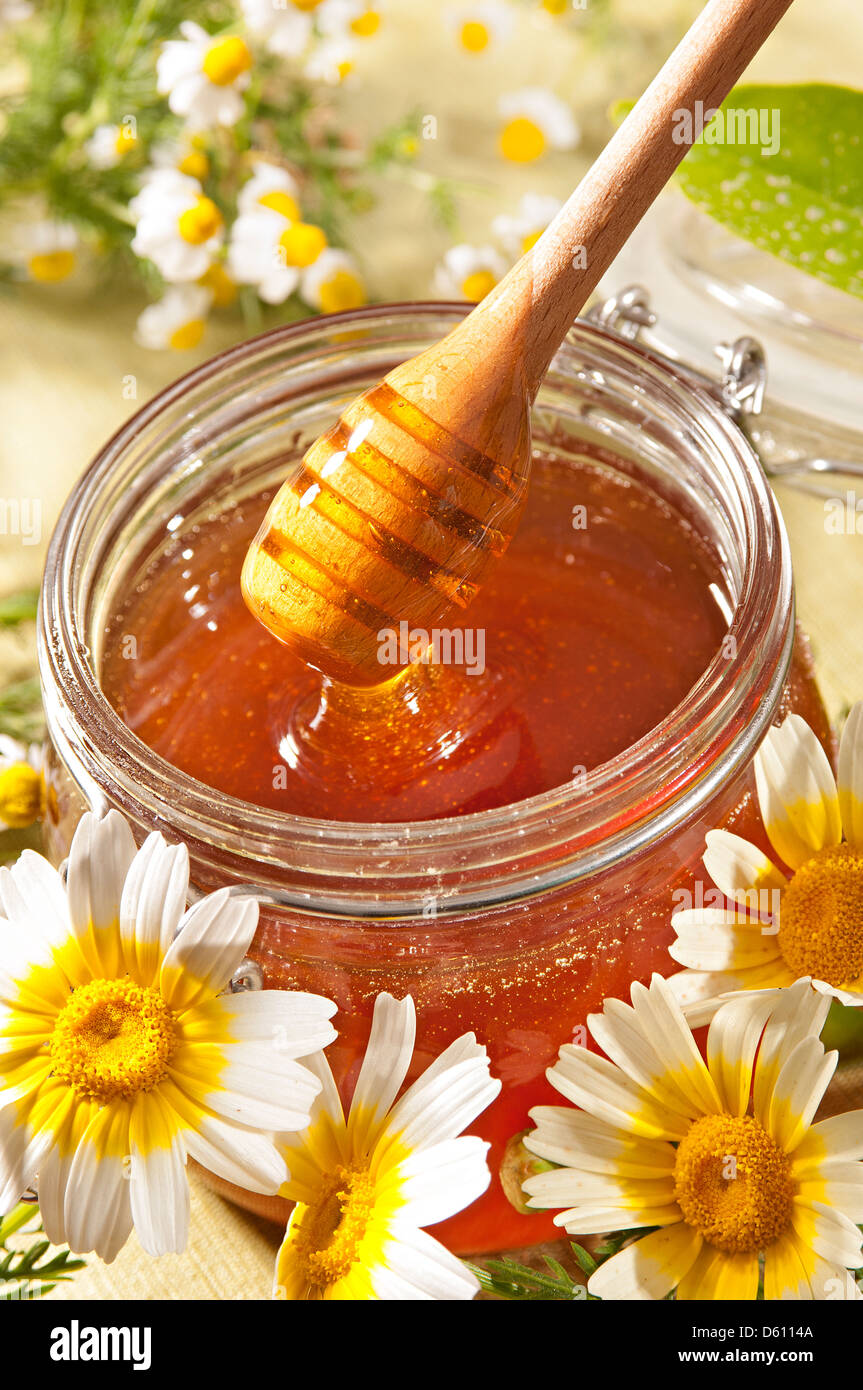 Organic honey in a glass jar and dipper Stock Photo