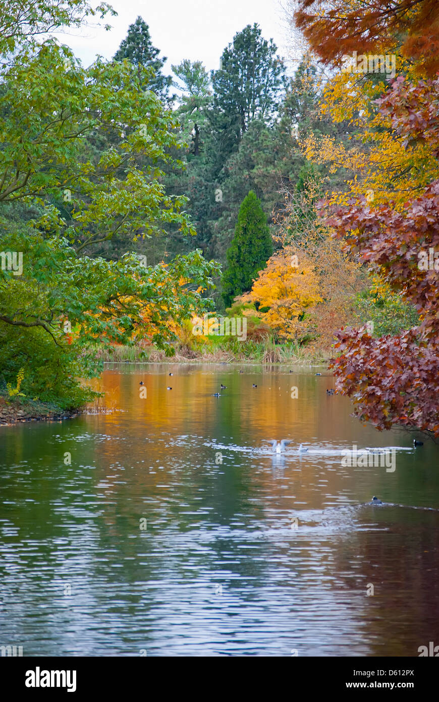 autumn at Kew Gardens Stock Photo Alamy