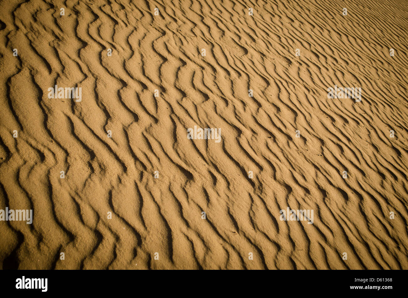 Rippled Sand Stock Photo