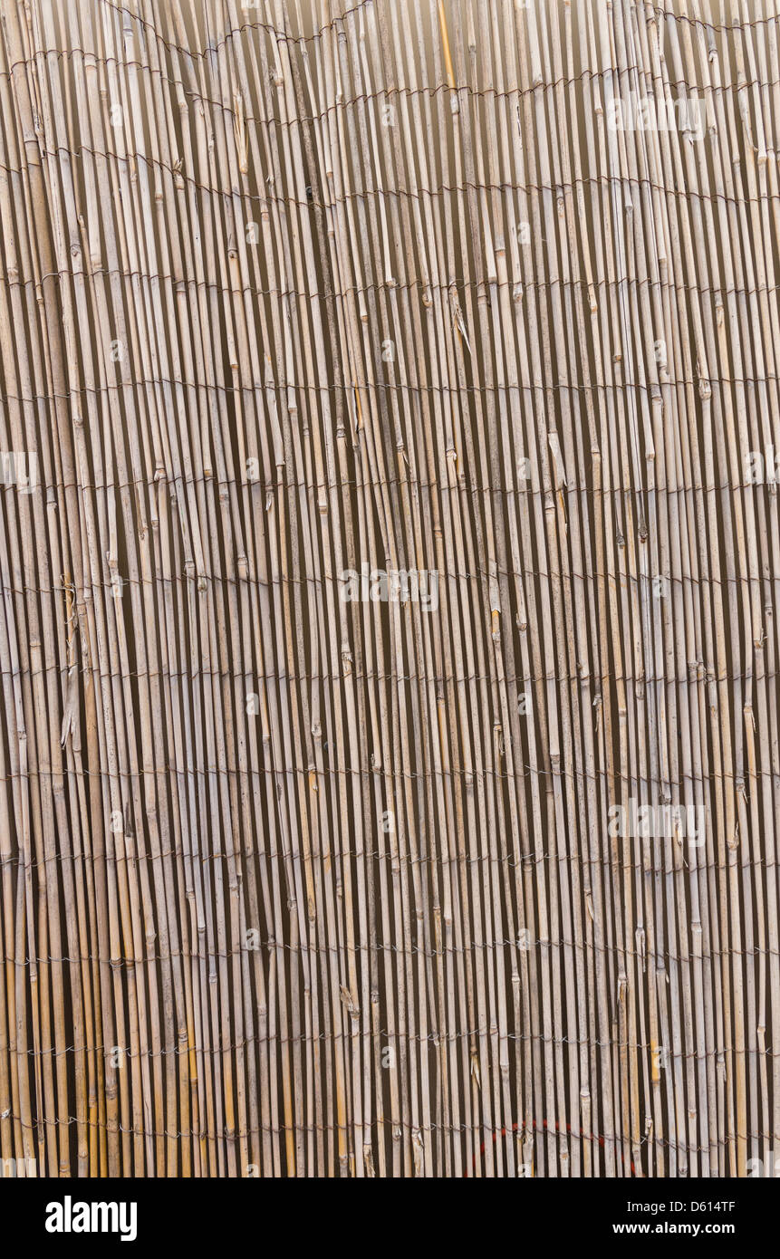 A background from a bamboo screen Stock Photo