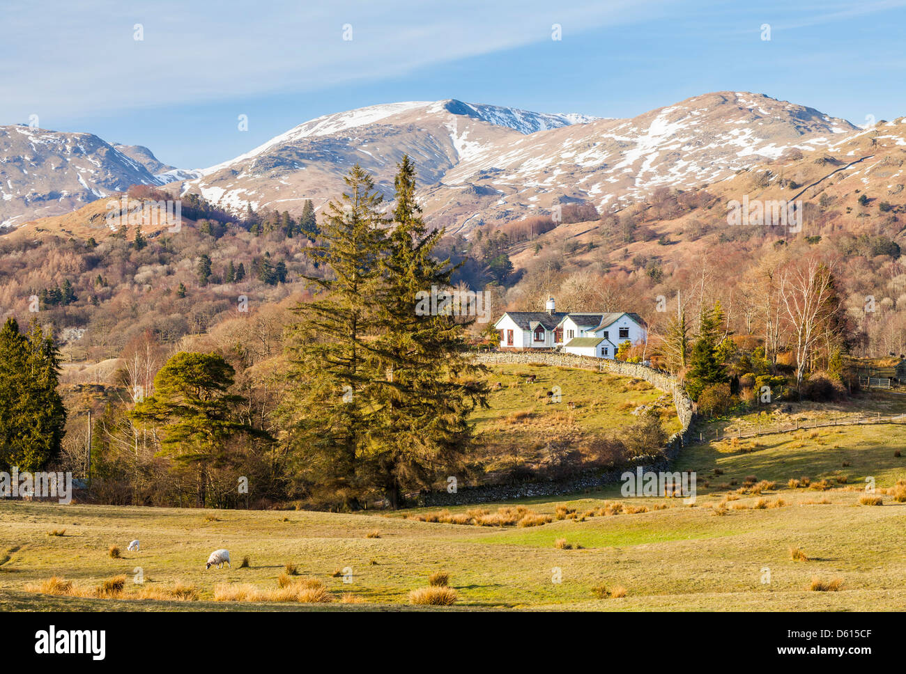 Loughrigg Fell from Low Park in the Lake district, Cumbria. Stock Photo
