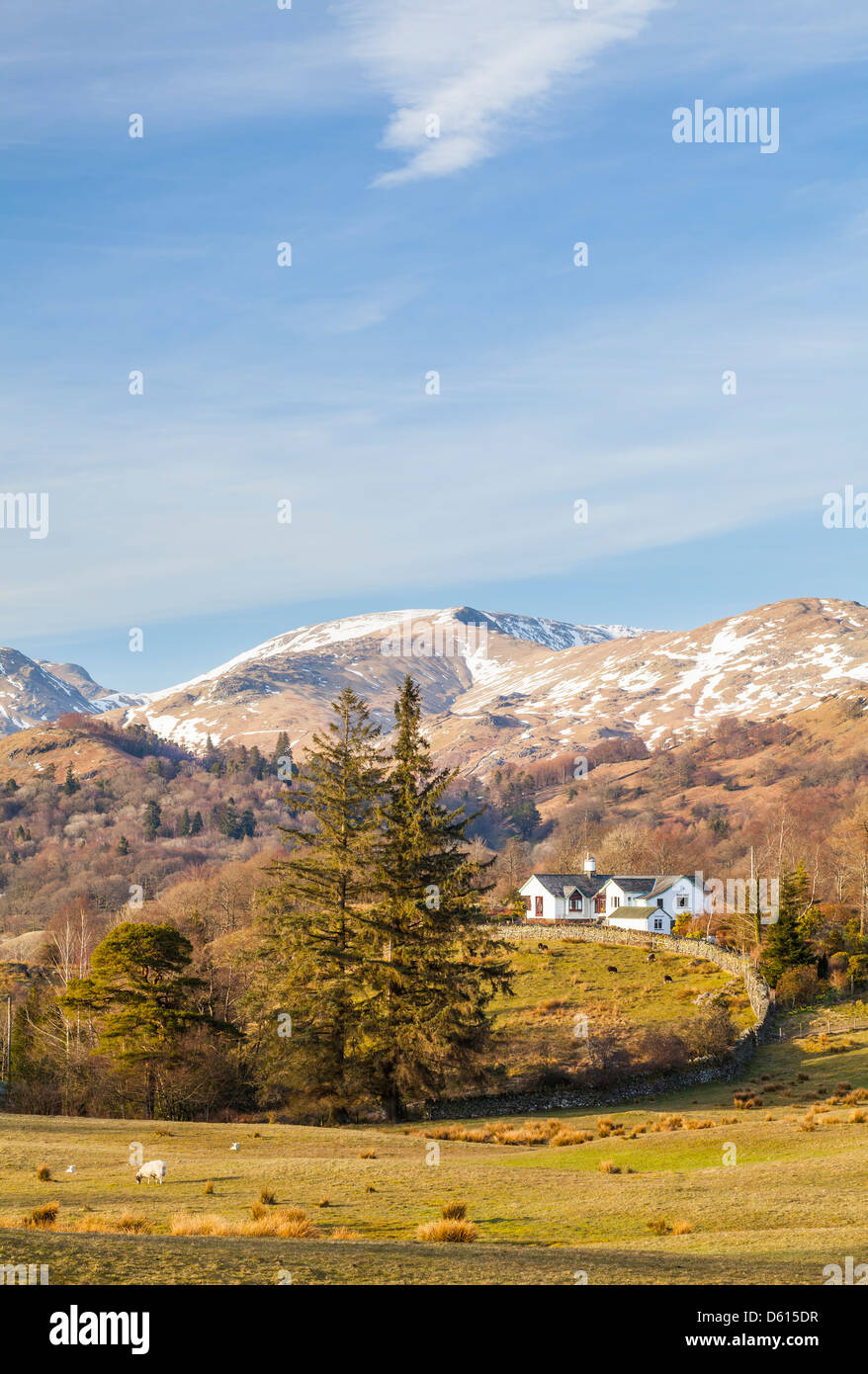 Loughrigg Fell from Low Park in the Lake district, Cumbria. Stock Photo
