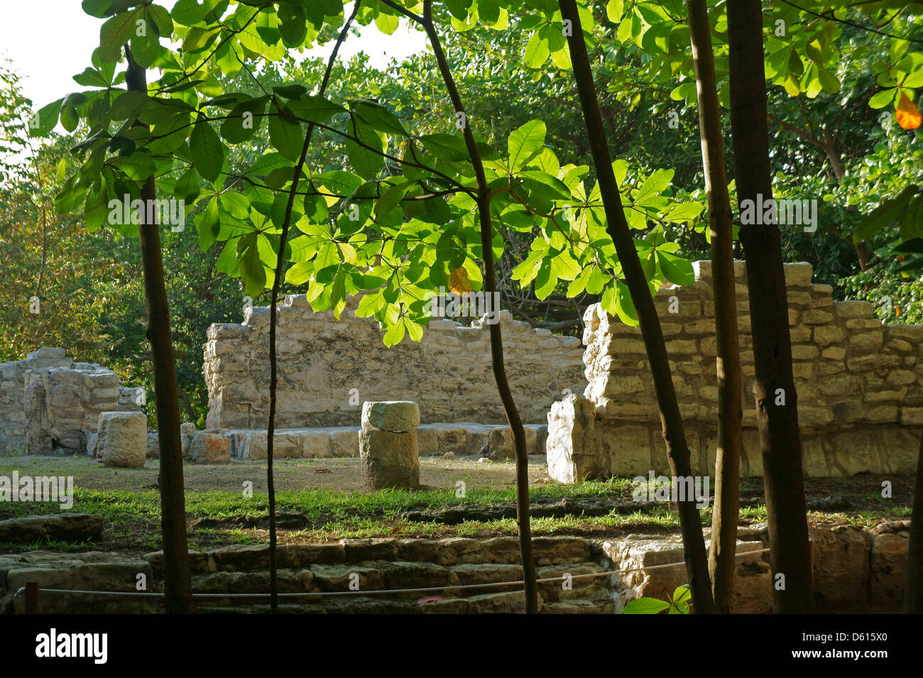 South Complex, San Miguelito archaeological site adjacent to the new Museo Maya de Cancun museum, Cancun, Mexico Stock Photo