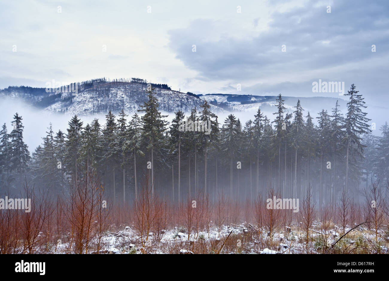 Misty cloud in snowy mountain hi-res stock photography and images - Alamy