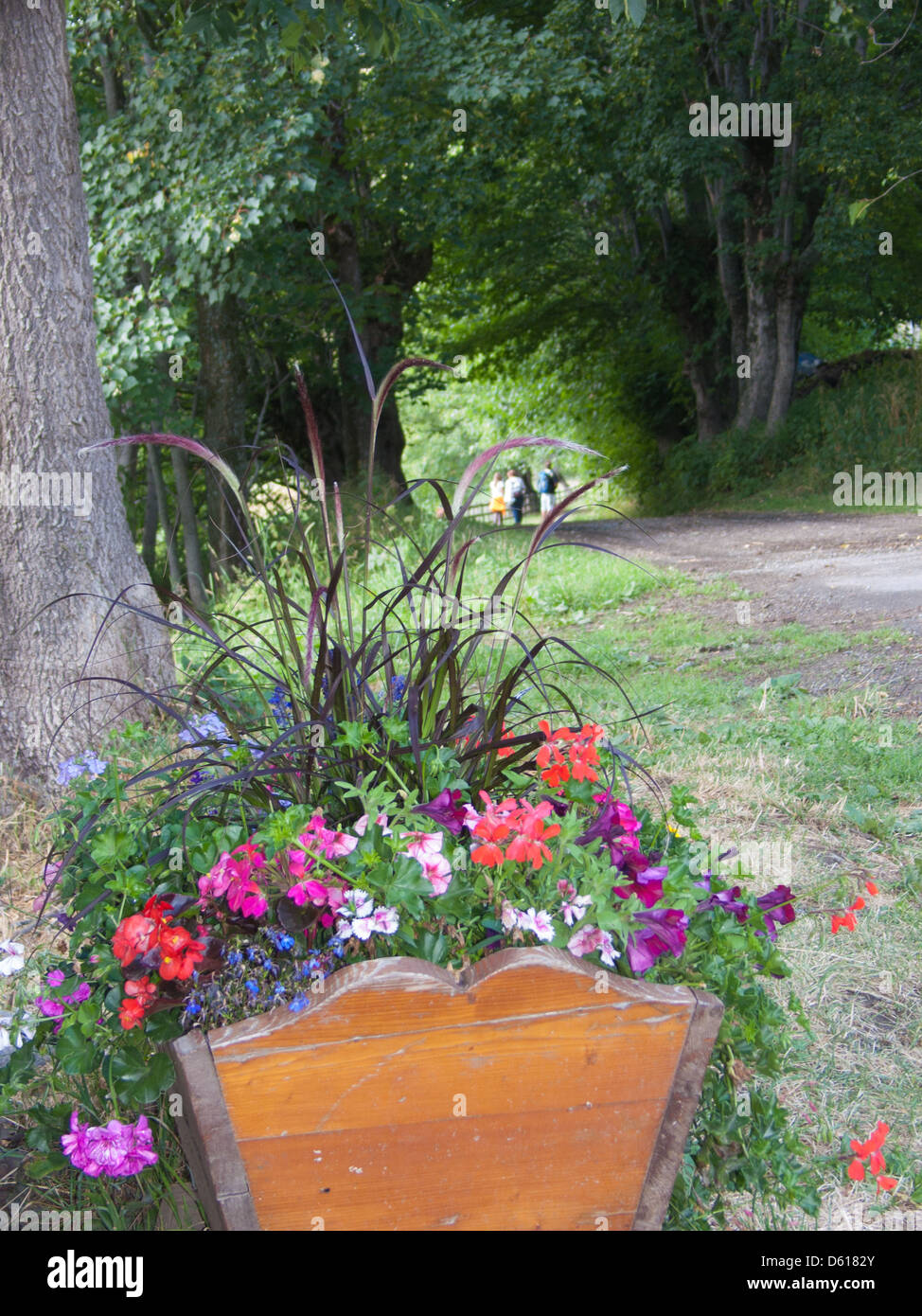 Saint-Jean-d?Arves, Savoie, Rh?ne-Alpes, France Stock Photo