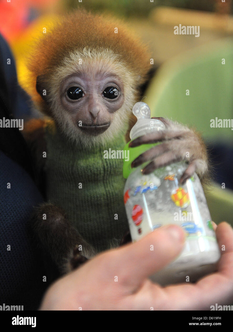 Knuppy hires stock photography and images Alamy