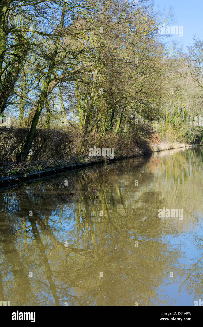 The banks of a river, with bushes and trees Stock Photo - Alamy