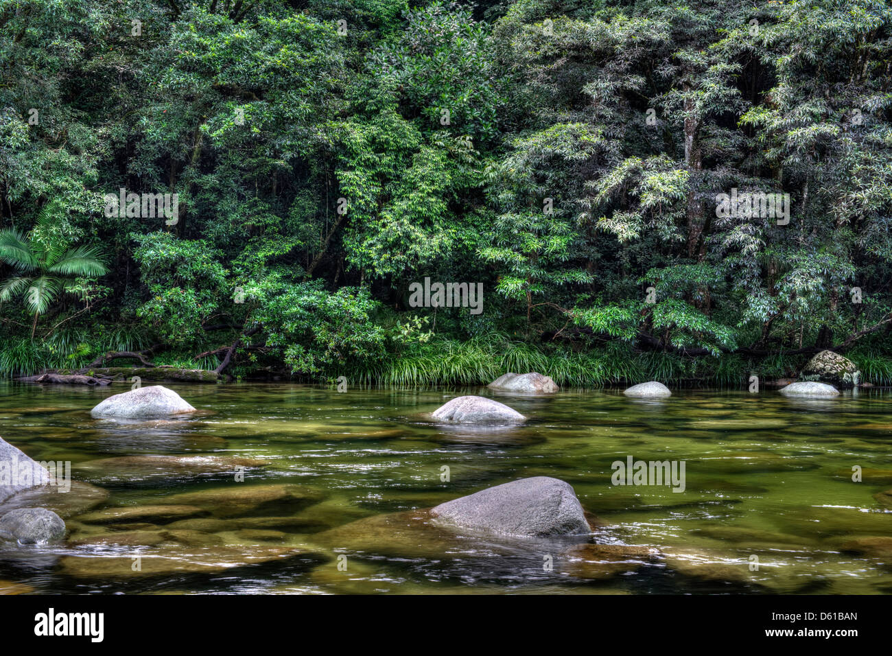Mossman Daintree National Park, Queensland, Australia Stock Photo Alamy