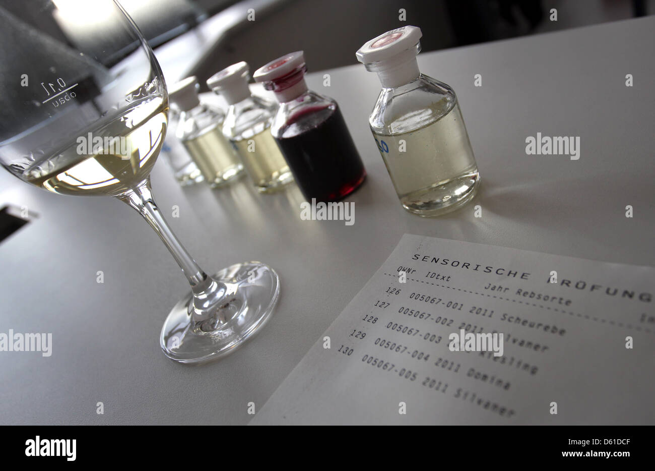 Different samples of Franconian wine are ready to be subjected to a sensory test at the Bavarian State Agency for Health and Food Safety in Wuerzburg, Germany, 18 January 2012. Photo: Karl-Josef Hildenbrand Stock Photo