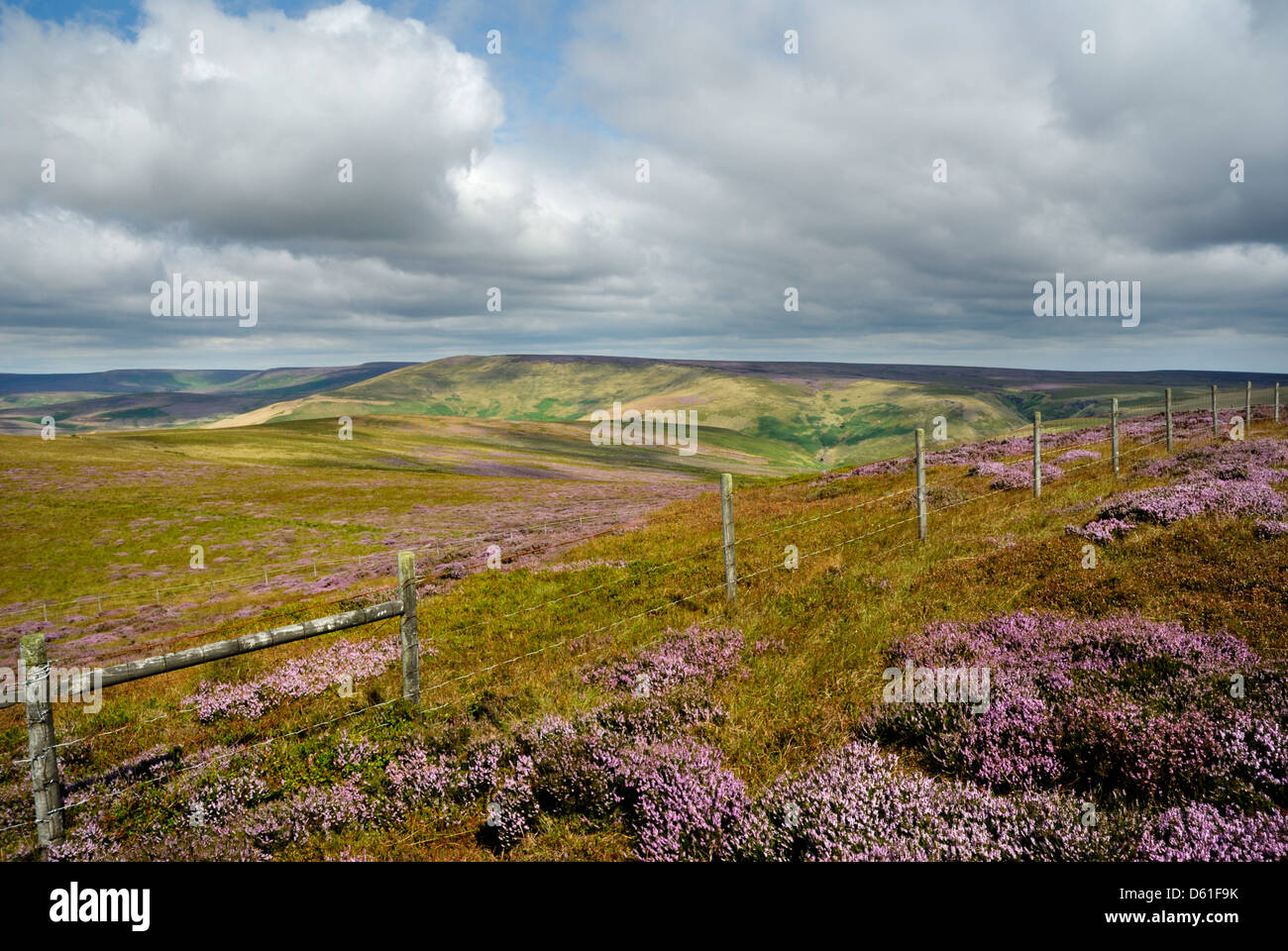 Howden edge hi-res stock photography and images - Alamy