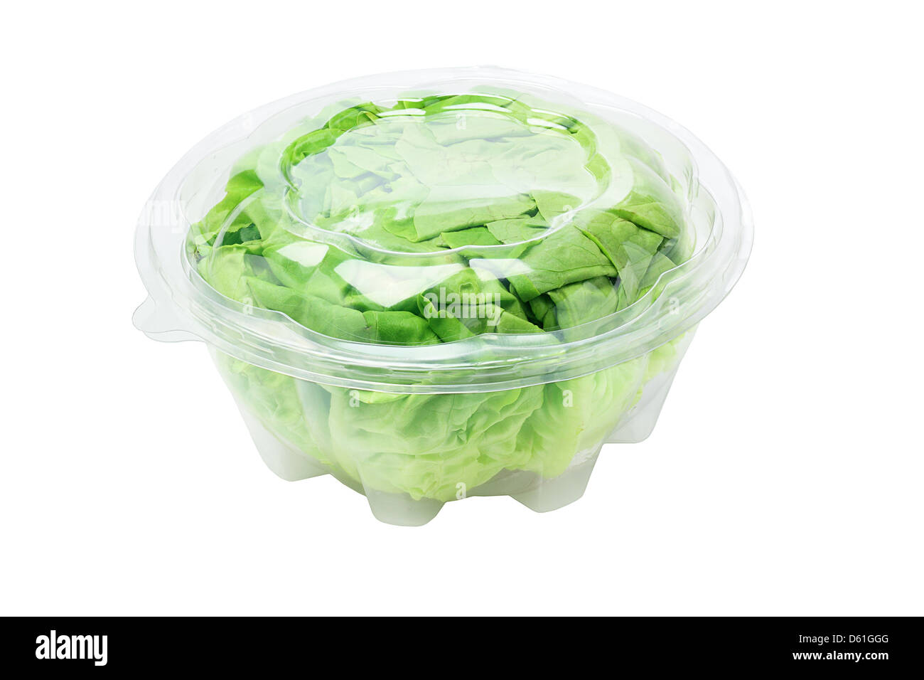 Salad Lettuce In Plastic Box On White Background Stock Photo Alamy