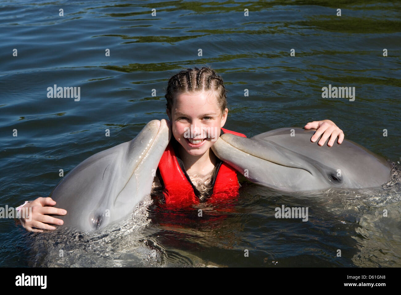 Carretera Las Morlas: Delfinario / Dolphinarium Stock Photo - Alamy