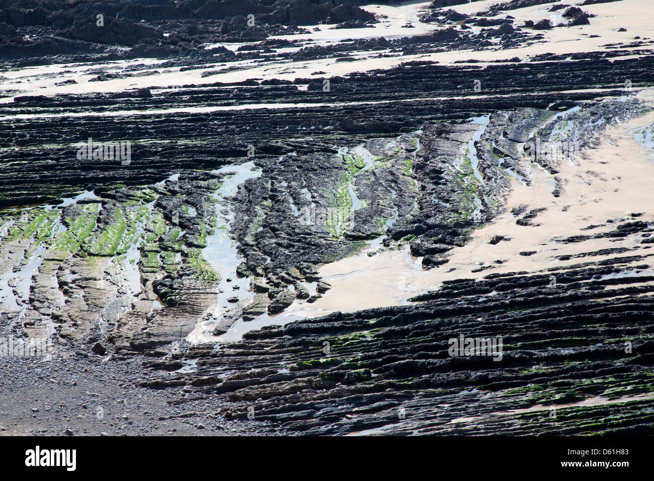 Beach; Near Flexbury; Bude; Cornwall; UK Stock Photo Alamy