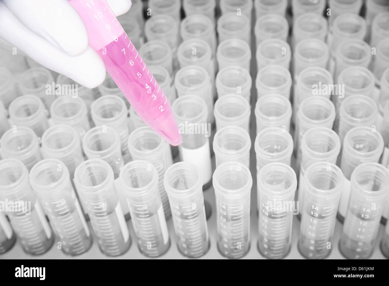 Lab worker dding pink liquid containers in laboratory Stock Photo