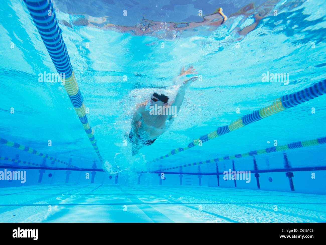 Underwater shot of young male thlete swimming in pool Stock Photo