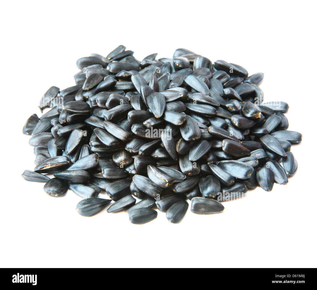 Sunflower seed isolated Stock Photo Alamy