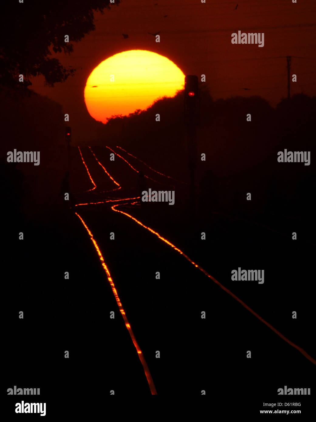 Sunset  near Central Indian city of Bhopal in Madhya Pradesh state, India. Stock Photo