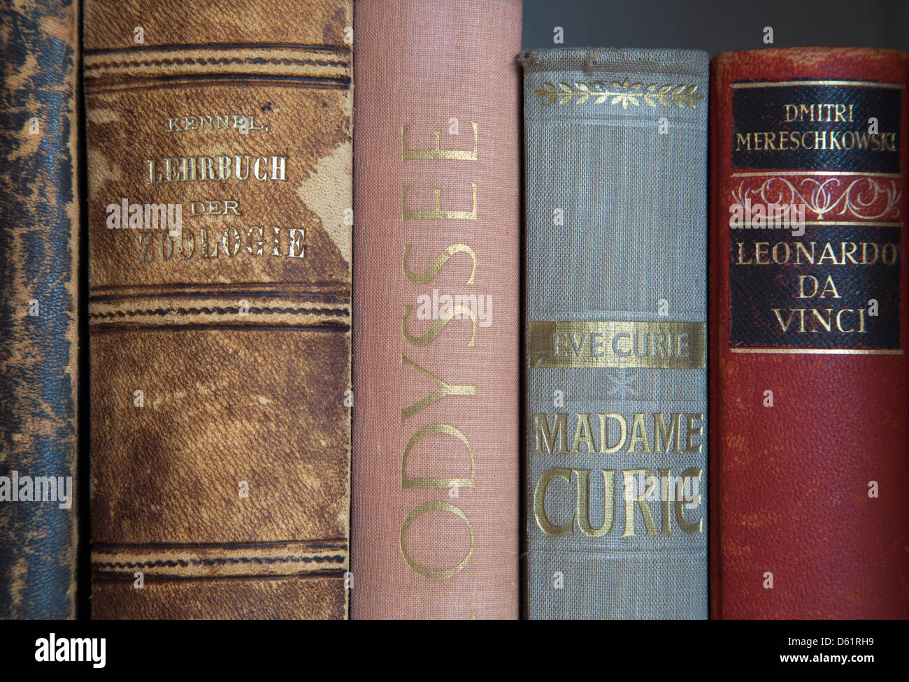 A close up shot of some old books about nature, zoology, Madam Curie, and Leonardo Da Vinci. Alte Bücher. Stock Photo