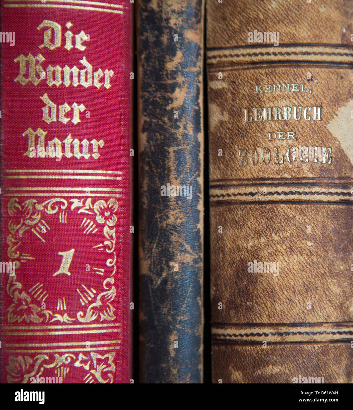 A close up shot of some old German books about nature and zoology. Alte Deutsche Bücher. Stock Photo