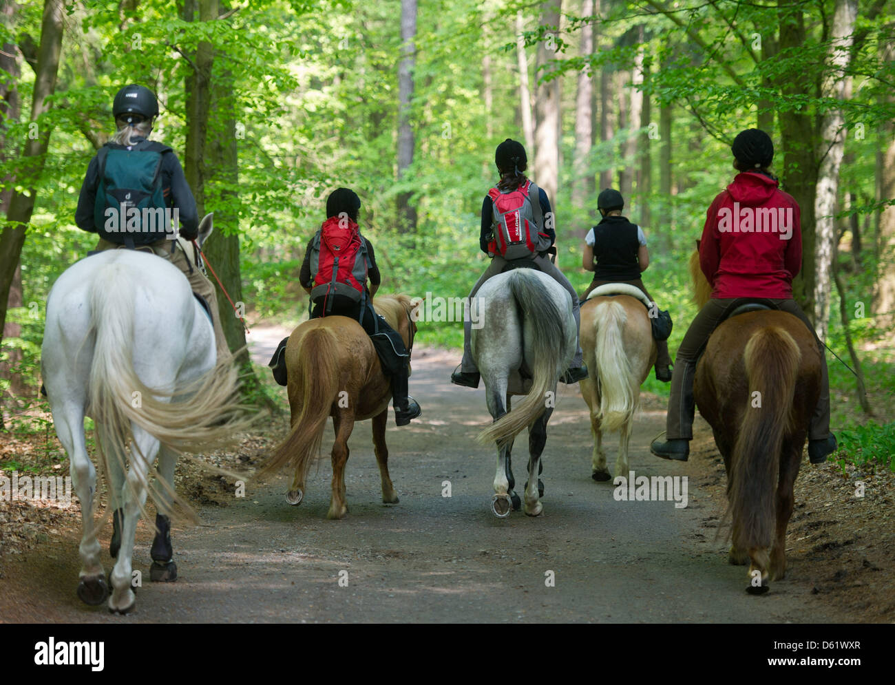 Integrated projects hi-res stock photography and images - Alamy