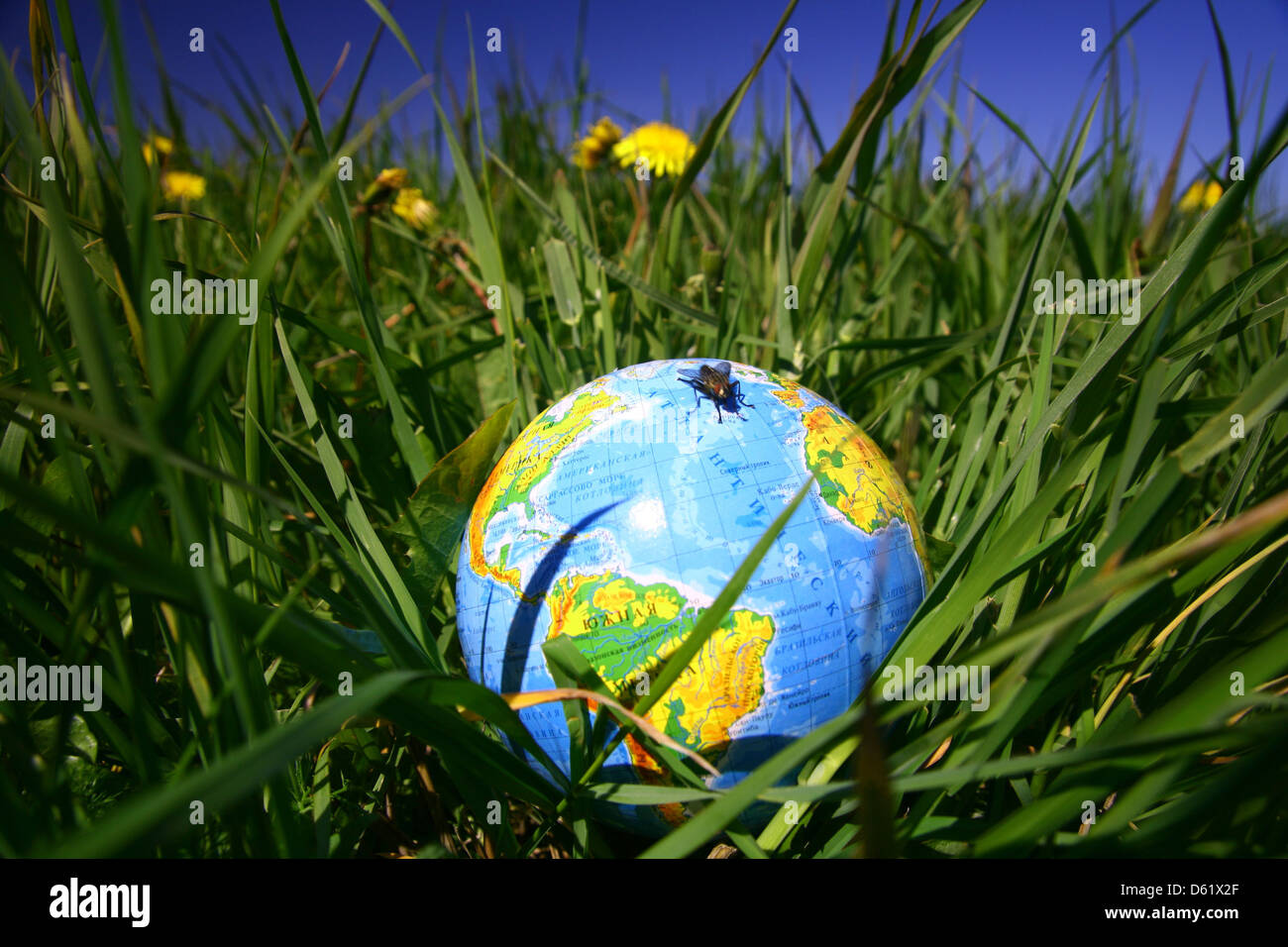 globe of planet earth in green grass Stock Photo - Alamy