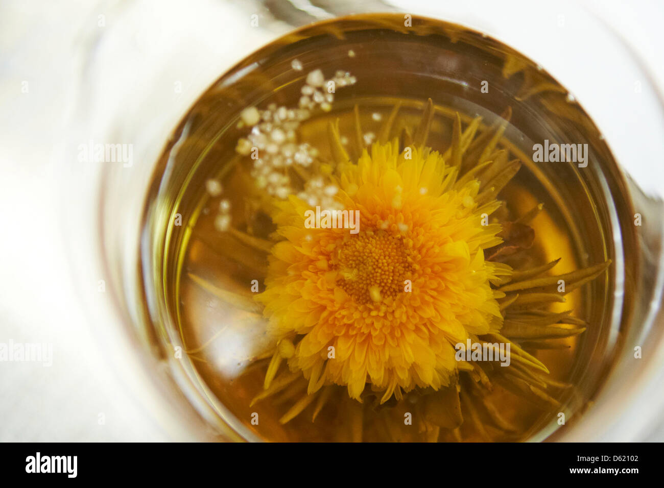 A Mary Gold tea flower is presented at a tea tasting by the tea company ...