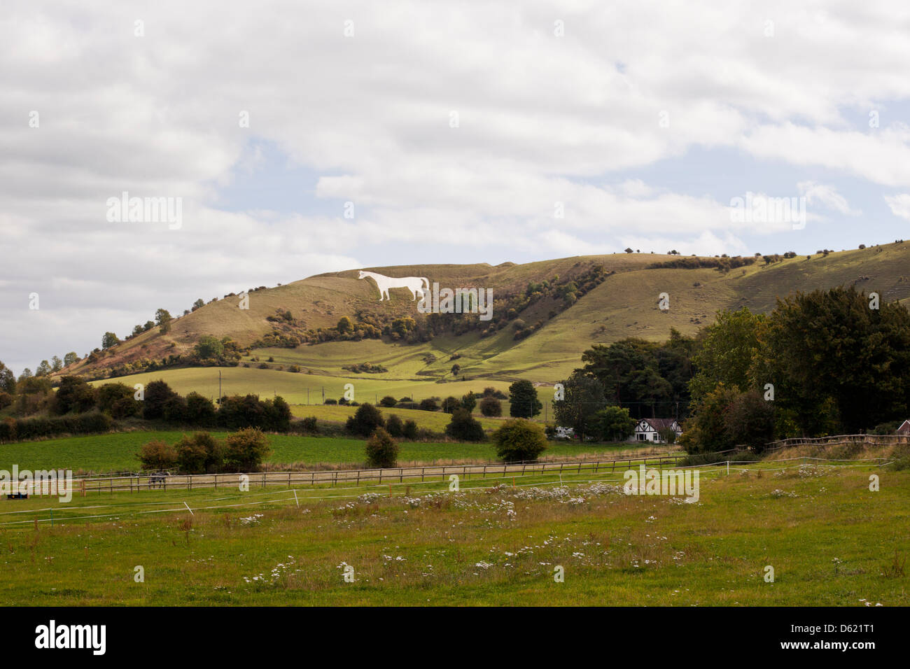 Westbury White Horse, Westbury, Wiltshire,  England, UK Stock Photo