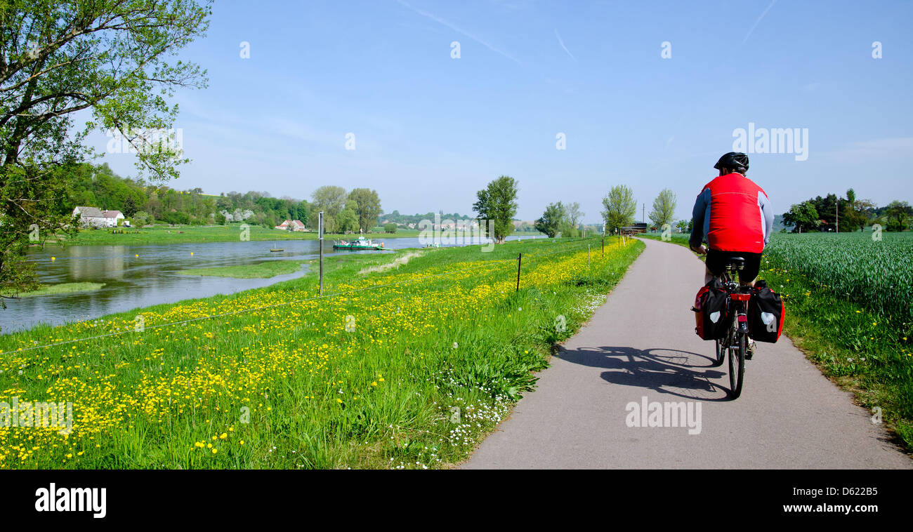 The Elbe Cycle Route is pictured near 