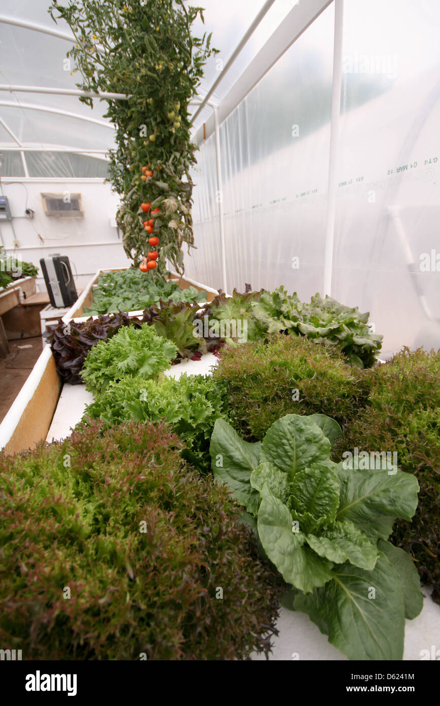 Hydroponic greenhouse hires stock photography and images Alamy