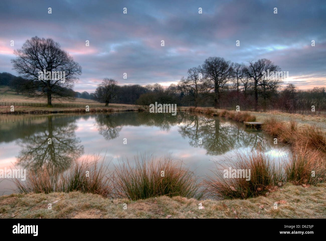 Hardwick ponds hires stock photography and images Alamy