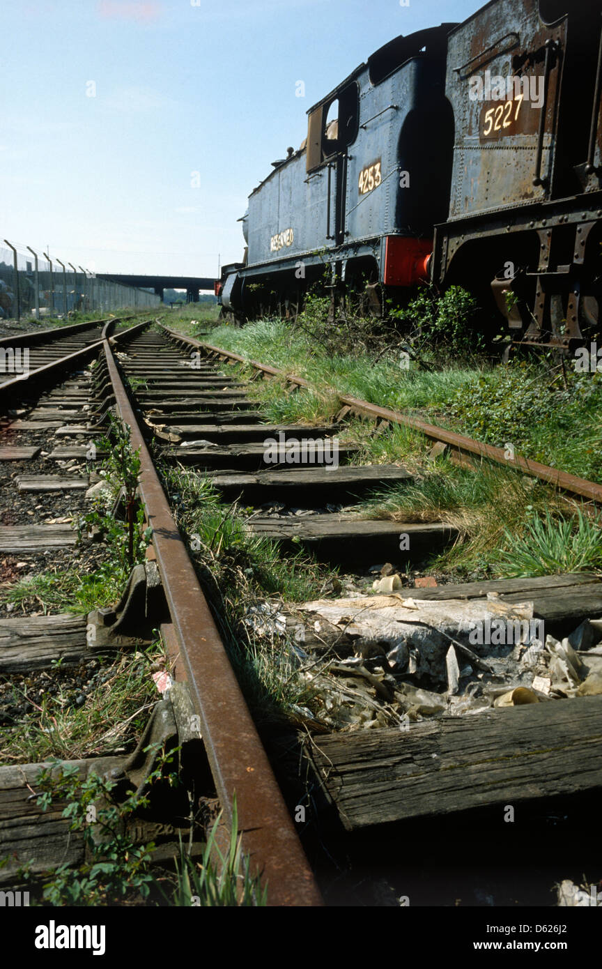 Woodhams of Barry Island train scrapyard in Wales in 1980 with overgrown railway line and type 4253 locomotive in background Stock Photo
