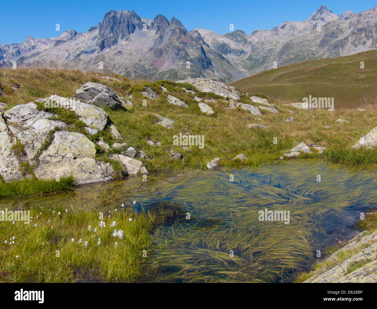 col de bellard,haute savoie,france Stock Photo Alamy