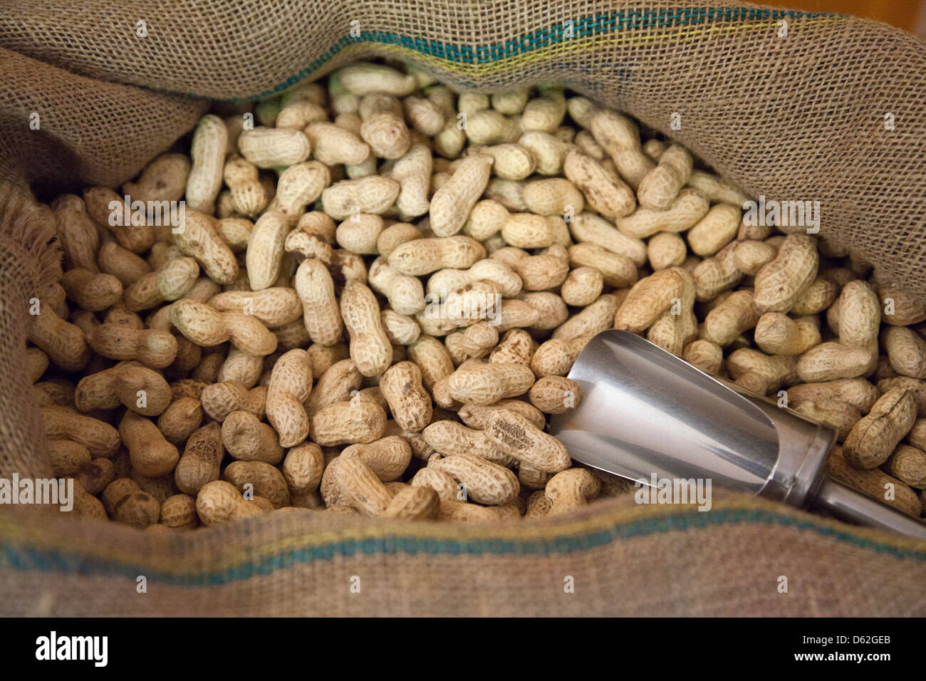 May Contain Nuts - peanuts in Hessian sack Stock Photo