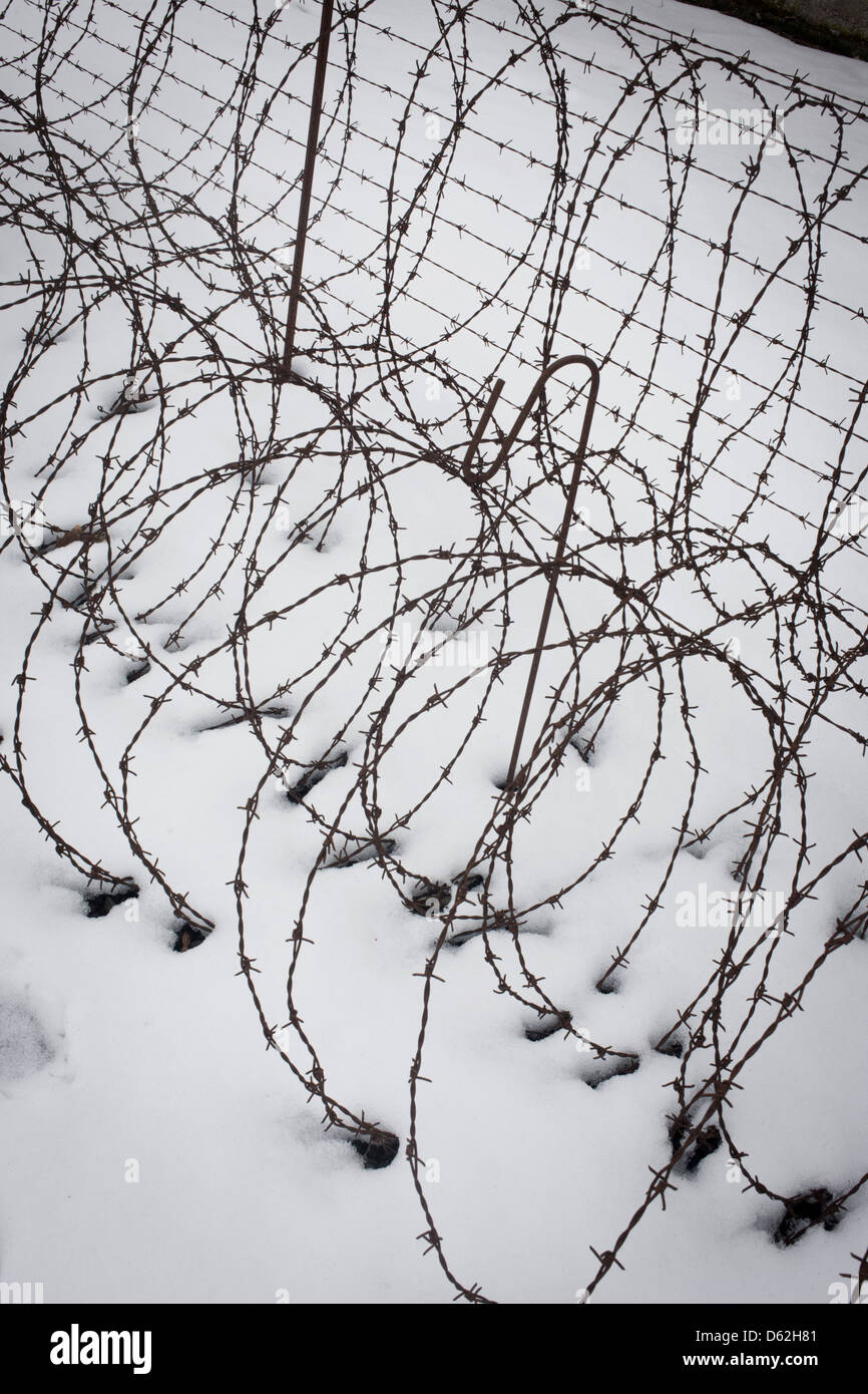 Coils of rusting barbed wire in winter snow form a perimeter fence in the Nazi and Soviet Sachsenhausen concentration camp, now known as the Sachsenhausen Memorial and Museum. Sachsenhausen was a Nazi concentration camp in Oranienburg, 35 kilometres (22 miles) north of Berlin, Germany, used primarily for political prisoners from 1936 to the end of the Third Reich in May 1945.  (More caption in Description). Stock Photo