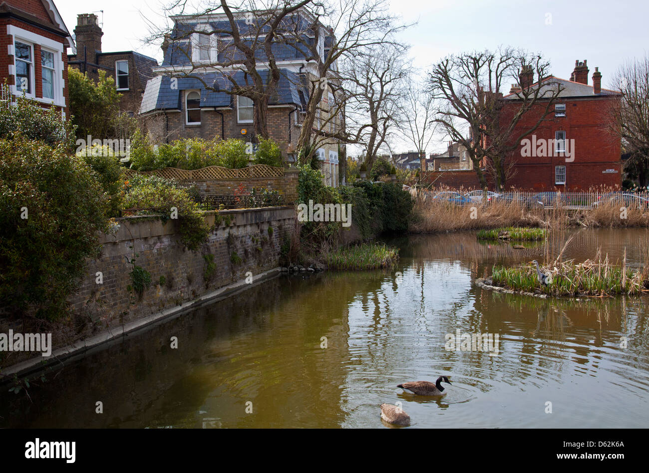 Richmond green london houses hires stock photography and images Alamy