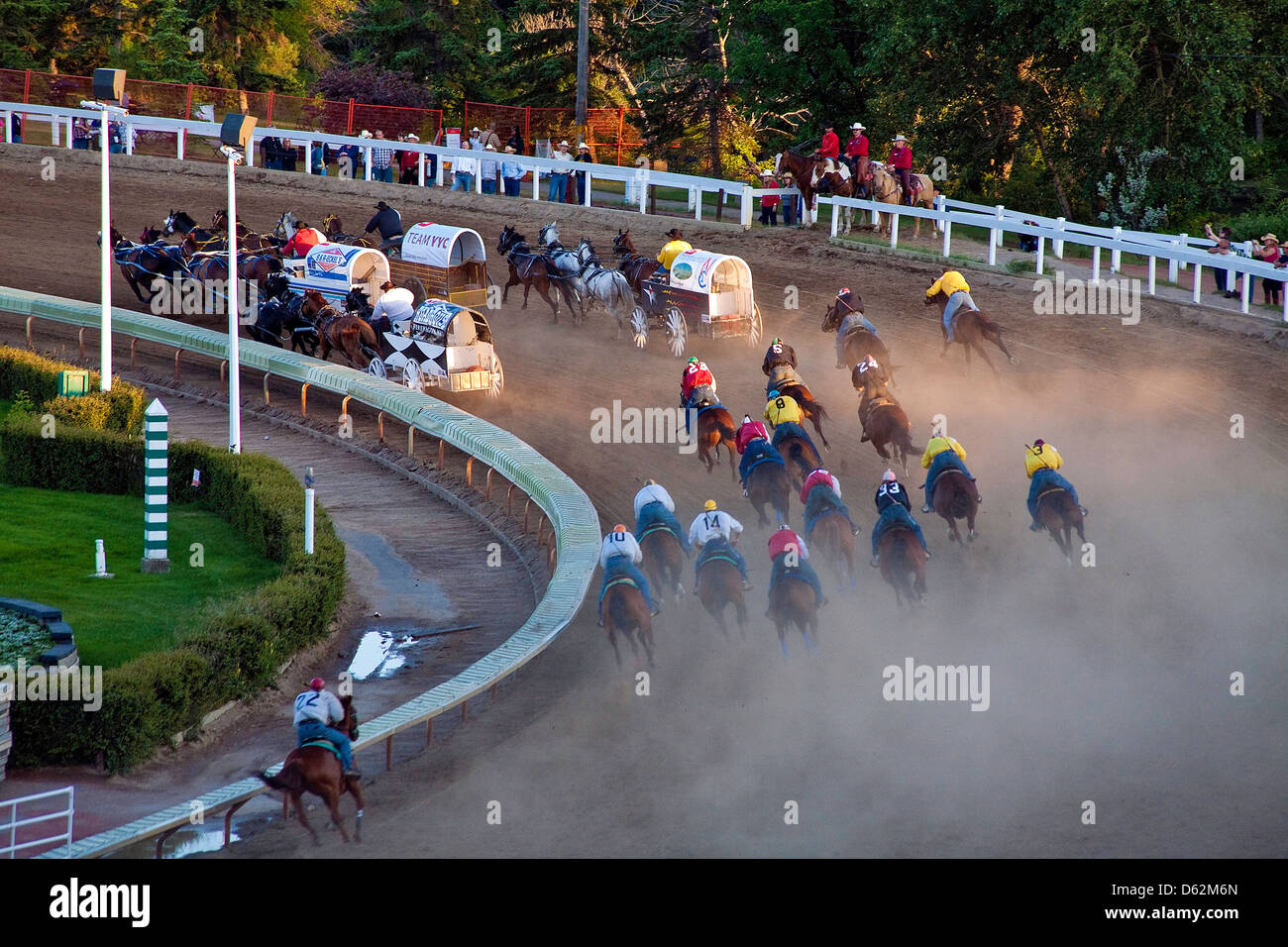 Chuckwagon Horse Races at the Calgary Stampede in Calgary;Alberta;Canada;Western Canada;Chuck Wagon Stock Photo