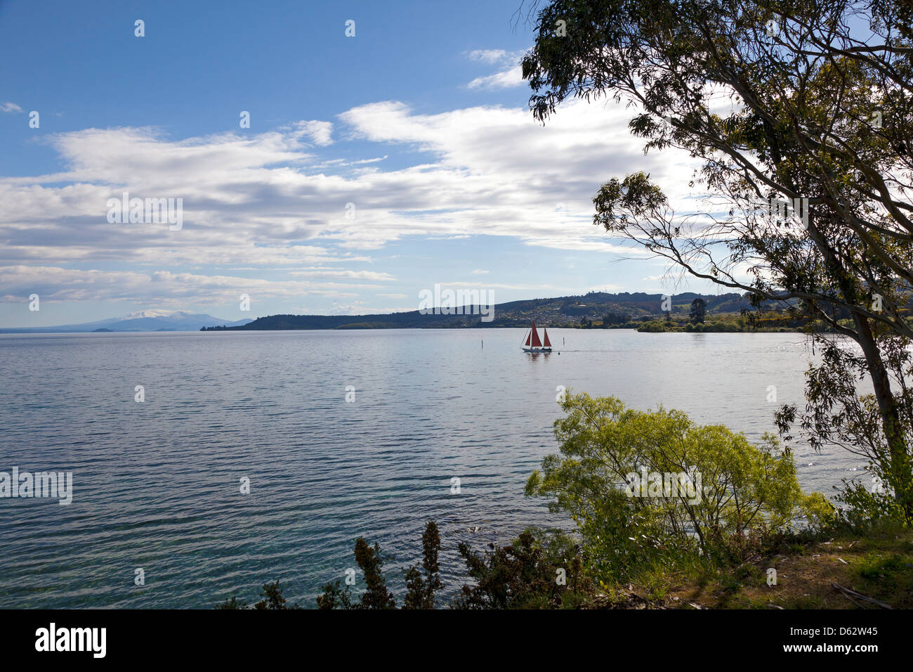 Lake Taupo from Taupo with a sailing vessel Stock Photo