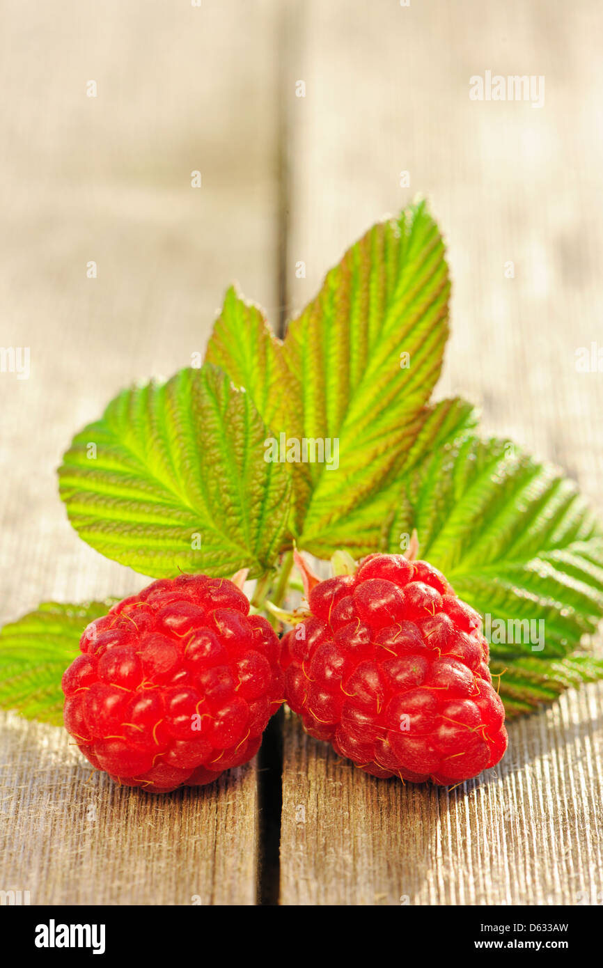 One Raspberry On A Table Raspberry on wooden table Stock Photo - Alamy